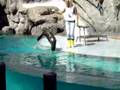 Acuario en el Jardin Zoologico de Buenos Aires