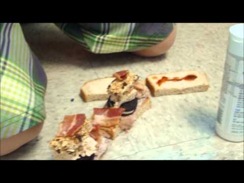 epickidstime - We make a huuuuuuuuuge sandwich for us to eat. candcinaba http://www.youtube.com/subscription_center?feature=iv&annotation_id=annotation_823058&add_user=cand...
