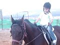 Yassin Amin Refaie at turmusayya Equestrian club