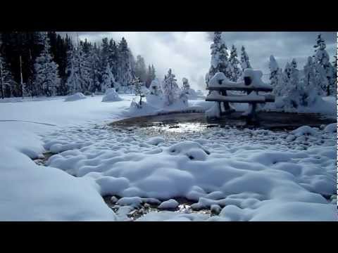 grand national results