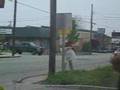 West Street Bag Man (Lester / Buckwheat) - Schism (TOOL)