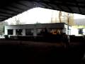 videos de Galop Colletciif !!