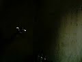 tocando no cemit�rio
