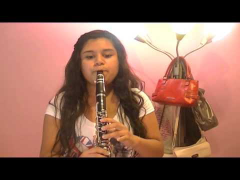 Best Song Ever-One Direction (Clarinet Cover)