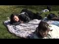 Barbecue � Luukki