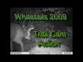 Whitetail Trail Cam 2009