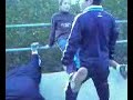 flexiones y tríceps