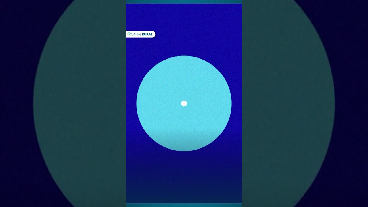 Mercado em 1 minuto: baixa oferta da laranja enfraquece preços na última semana