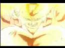 DBZ tribute