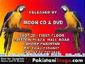 Punjabi Stage Show - Chalak Totey Part 2 05  of 15