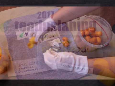 Teaduslahingu eelvoorudest 23. – 27. jaanuaril pääsesid edasi 16 vaprat finalisti 15 maakonnast ja Tallinnast. 5. mail Tartus toimuvas Teaduslahingu superfinaal