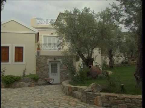 Video of Gera's Olive Grove-Elaionas tis Geras