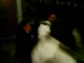 videos de CABALLO .3GP