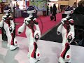 Femisapien dance at CES 2008 Femisapien dance at CES 2008