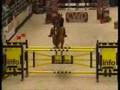 Springreiten