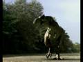 Tyrannosaurus Rex Compositing