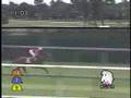 jra cm kimutaku