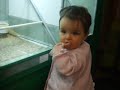 At the pet shop - birds At the pet shop - birds