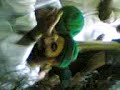 ameer e ahle sunnat