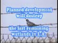 Ballona Wetlands