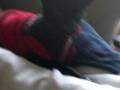 videos de Baxter zips himself up