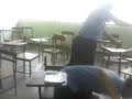 \"Saluditos 2\"