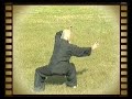 Daoist/ Bagua Master Lu Zijian (116) - Taiyi Huolong Palm