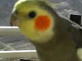 music-video-miracle-s-ost-howl-.html