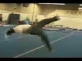 FS Ninja Sambrial