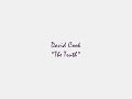 DAVID COOK Analog Heart FALL BACK into ME THE TRUTH HQ audio DAVID COOK Analog Heart FALL BACK into ME THE TRUTH HQ audio