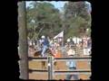 Foire de Bourail - Bourail Fair