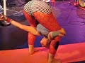 Alyssum Pohl contortion 3