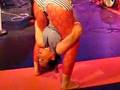 Alyssum Pohl contortion 3