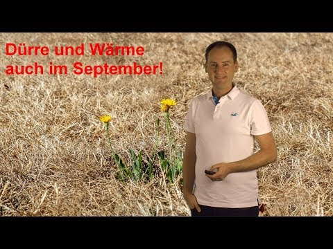 Der Jahrhundertsommer 2018 gibt nicht auf: Wrme un ...