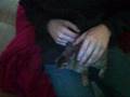 The Bunnies!