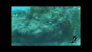 Pesca submarina en el estrecho