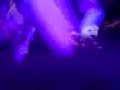 N Trance @ 12 Hour Cheesy N Trance @ 12 Hour Cheesy