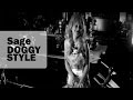 Sage Doggystyle Video and Lyrics