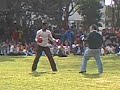 Boxeo - unal