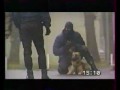 dog attack dog attack