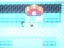 pokedex completa! 386 pokemon