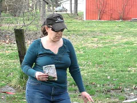 how to control rabbits