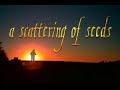 A SCATTERING SEEDS The Stowaway