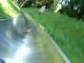 Sommerrodelbahn Wolfgangsee