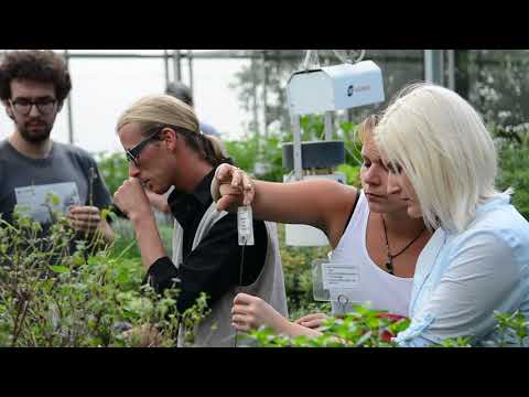 Studium Gartenbau an der Fachhochschule Erfurt