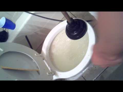 how to unclog big poop