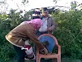 قرد في حديقه الحيران في الاسكندري