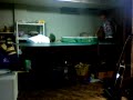 ping pong