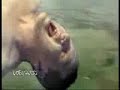 Crazy Xbox Comercial