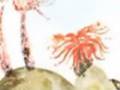 videos de swimmy(A.O.R remix)